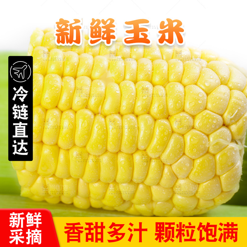 白底上放着新鲜玉米