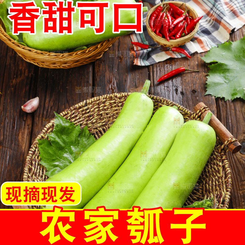 篮子里放着葫芦瓜