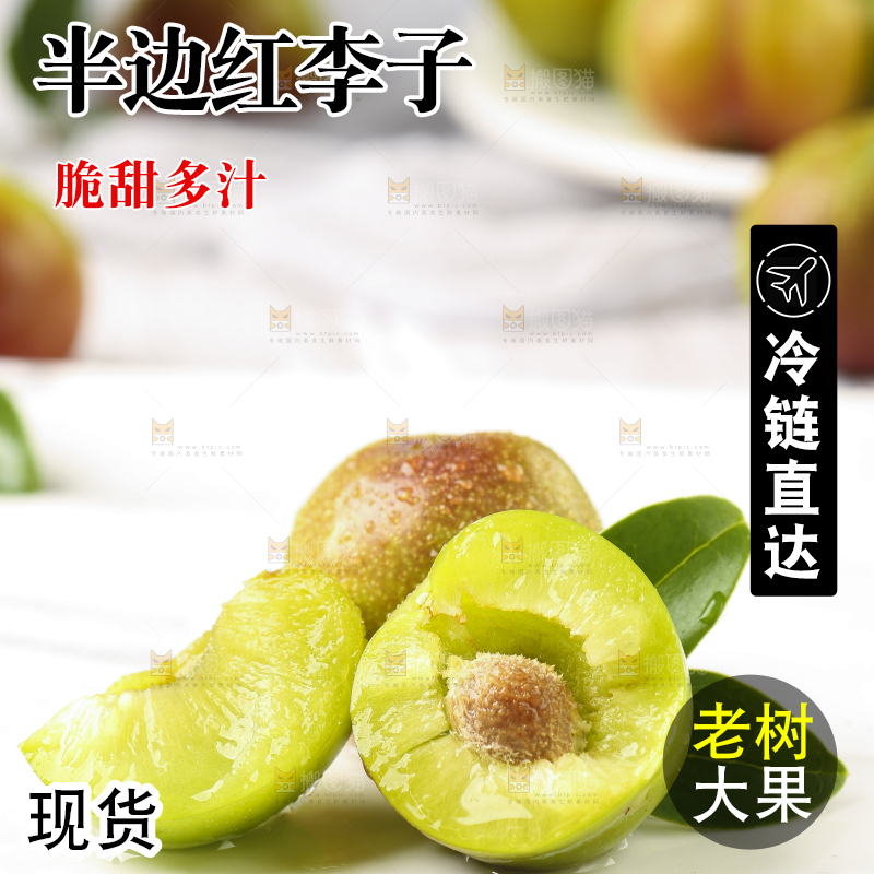 石板上摆放着四川茵红脱骨李