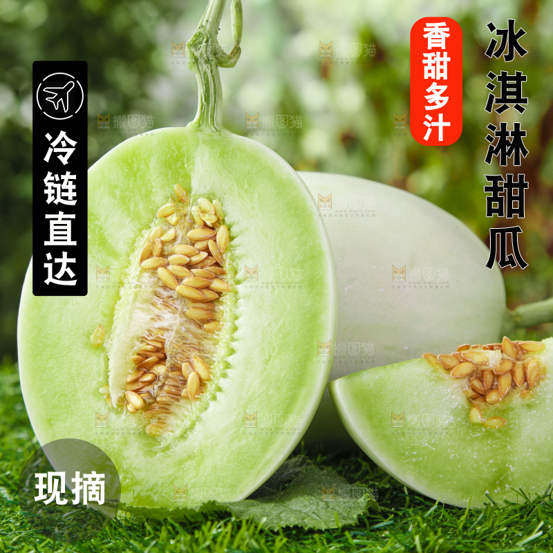 绿草地上摆放着玉菇甜瓜
