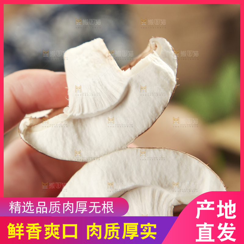 手里拿着蘑菇