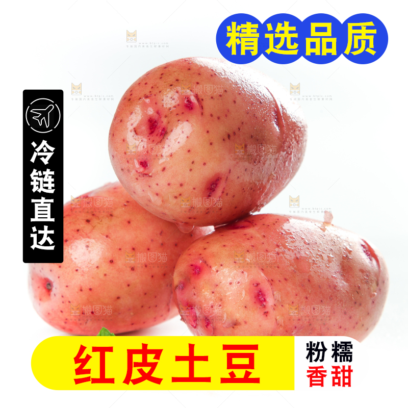 白底上摆放着红皮小土豆