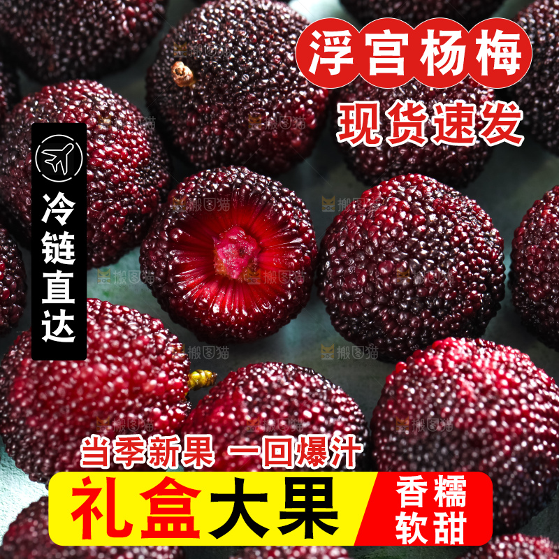 浅底上摆放着高山大杨梅