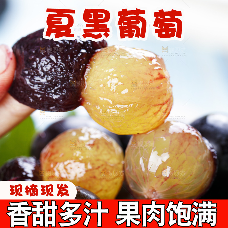 手里拿着云南夏黑葡萄