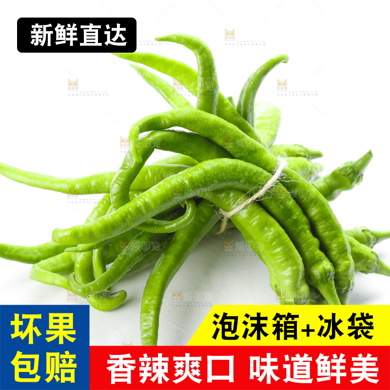 白底上摆放着青尖椒
