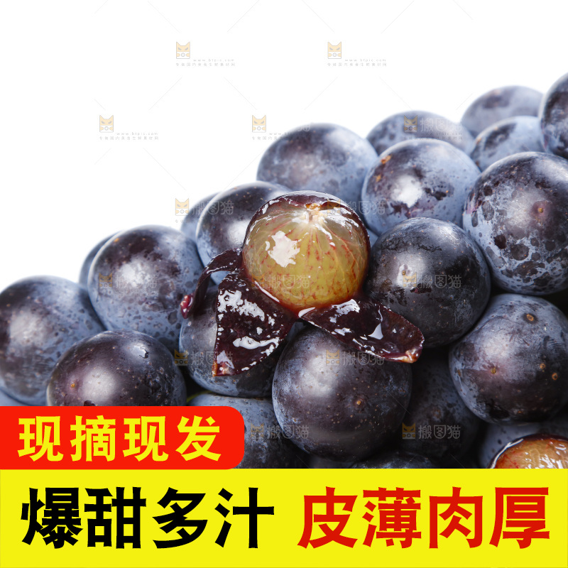 白底上的巨峰葡萄