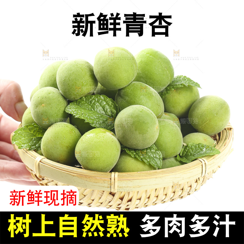 篮子里装着沂蒙山青杏
