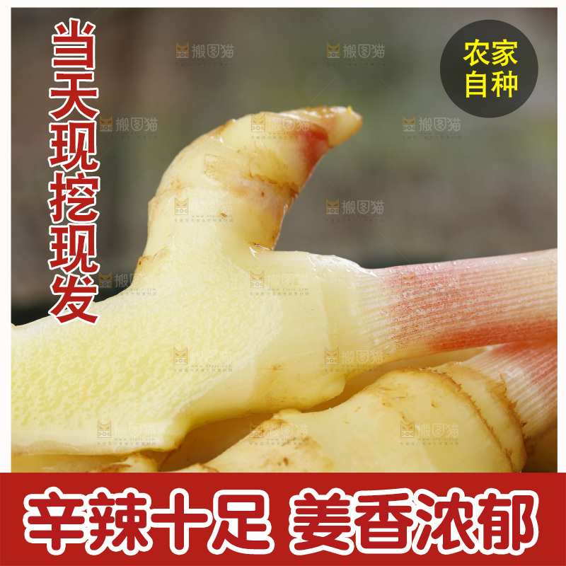 黑石板上放着红芽嫩姜