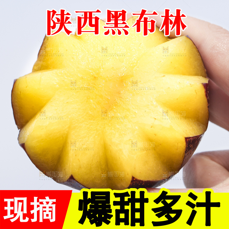 手里拿着进口黑布林