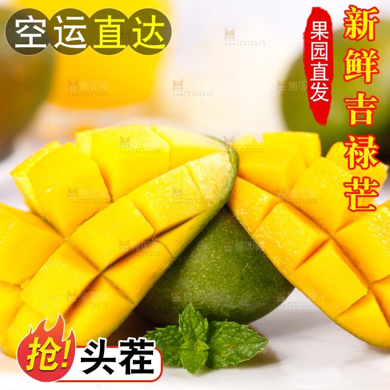 白底上放着吉禄芒