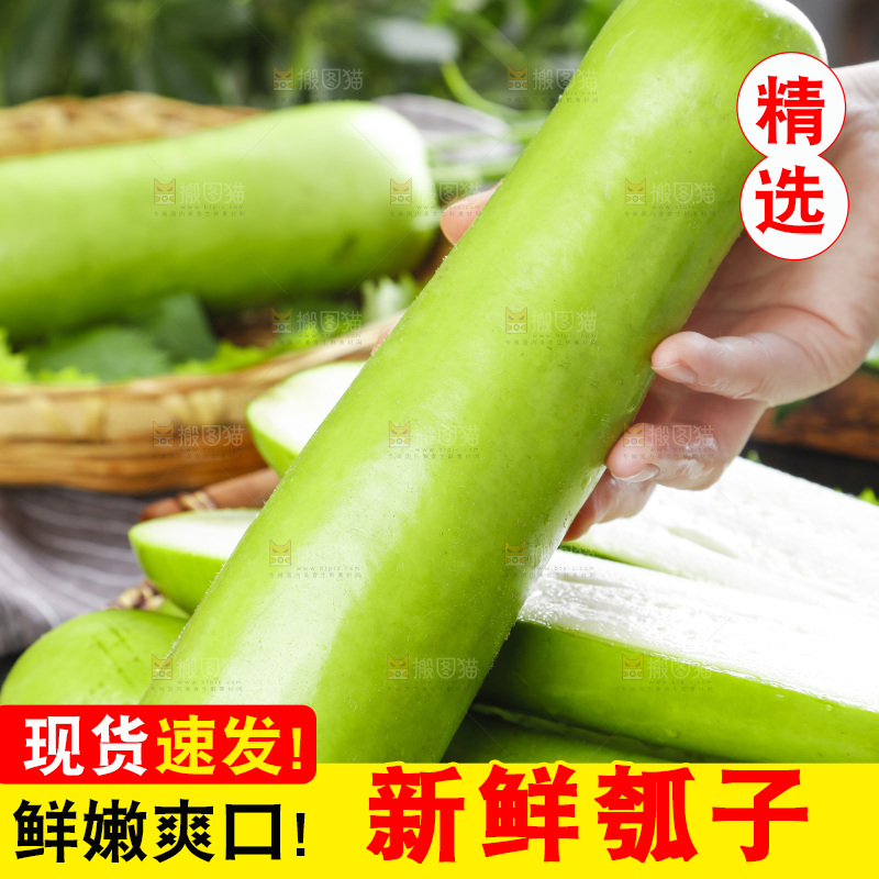 手里拿着瓠瓜