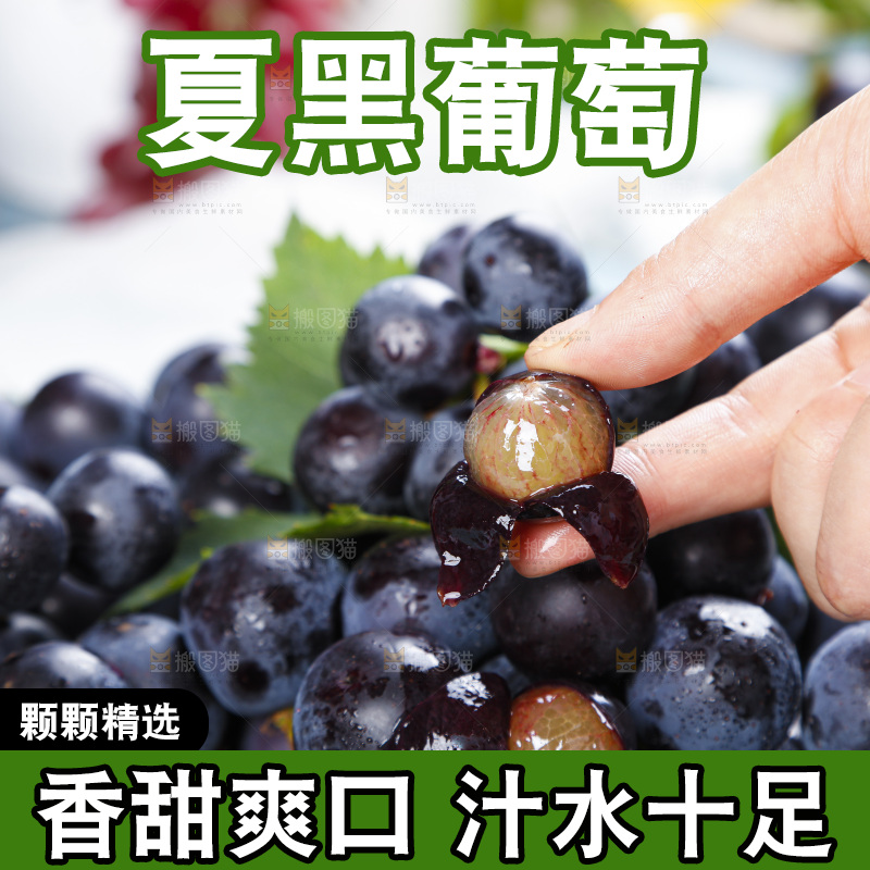 手里拿着黑加仑葡萄