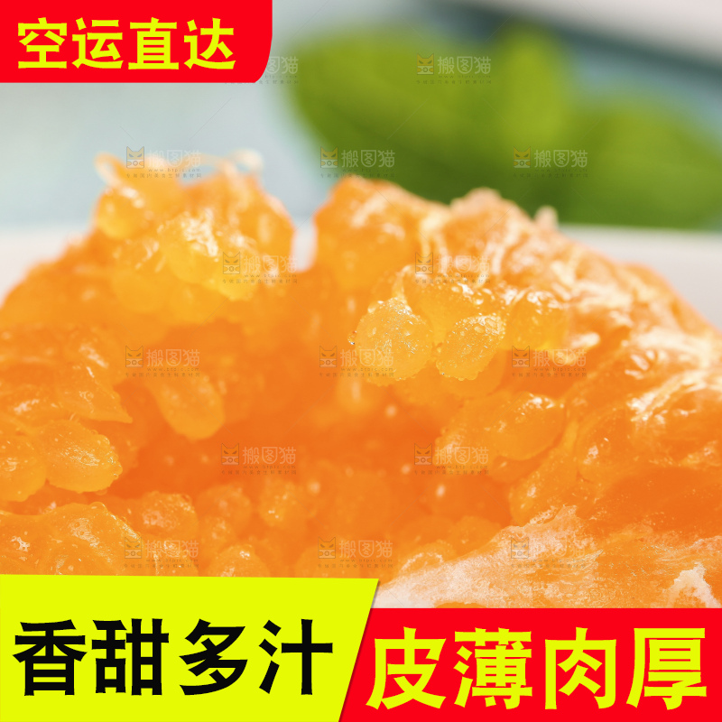 手里拿着春见果肉