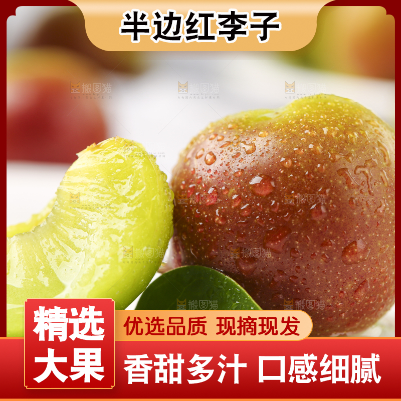 石板上摆放着四川茵红脱骨李