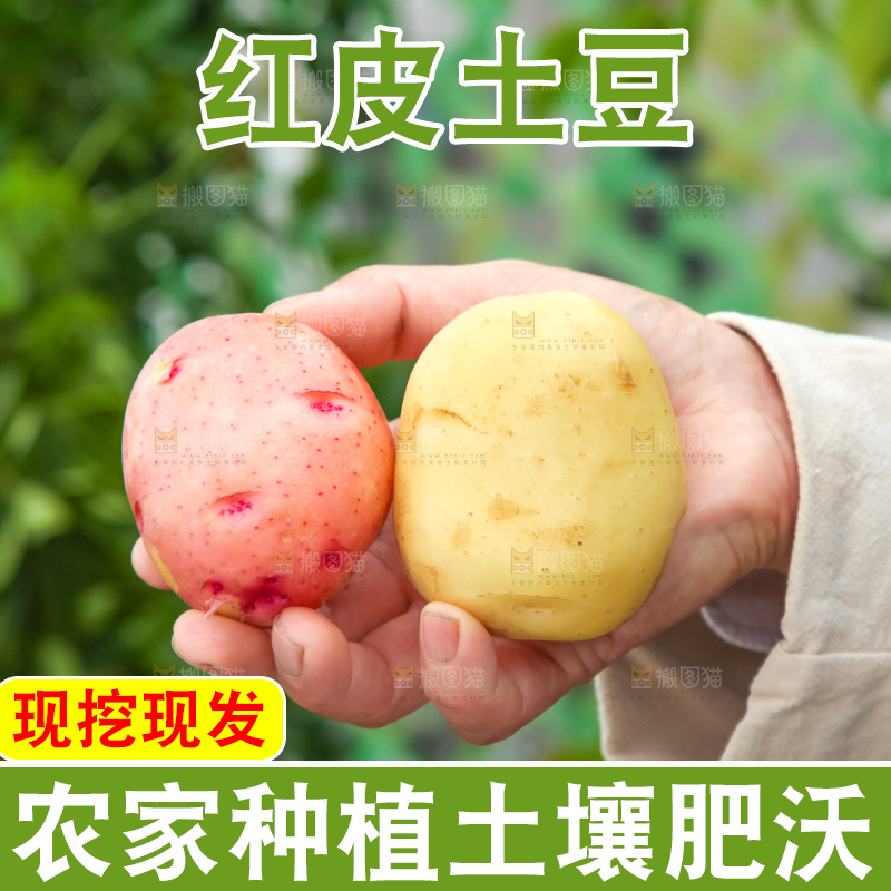 手里拿着土豆