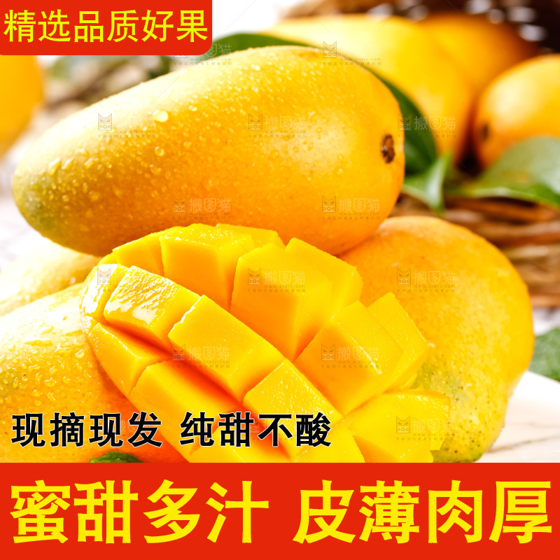 白底上放着新鲜台农芒