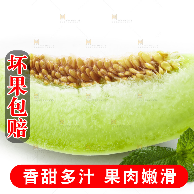 白底上摆放着山东玉菇甜瓜