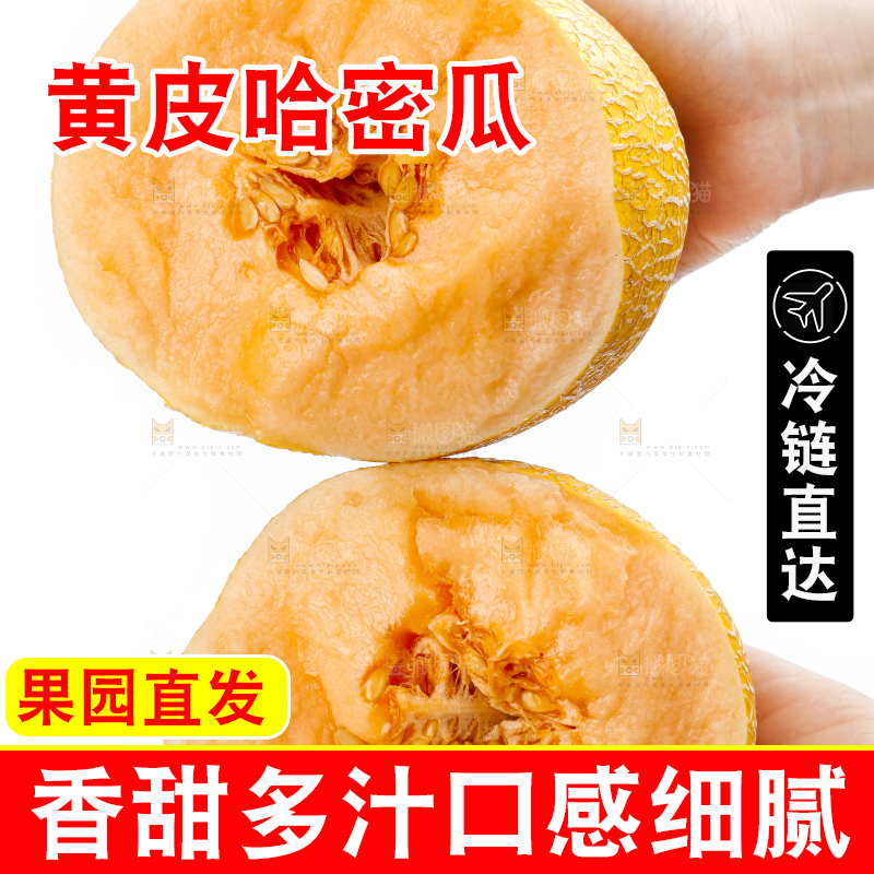 手里拿着新疆黄皮哈密瓜