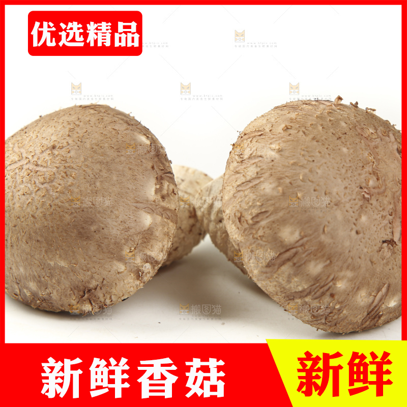 白底上放着香菇