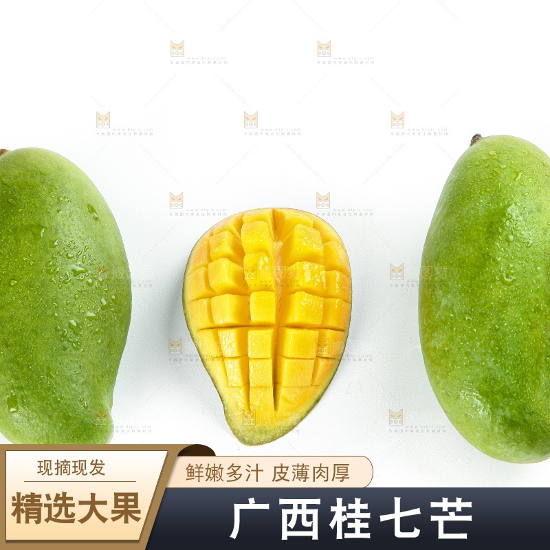 白底上的桂七香芒