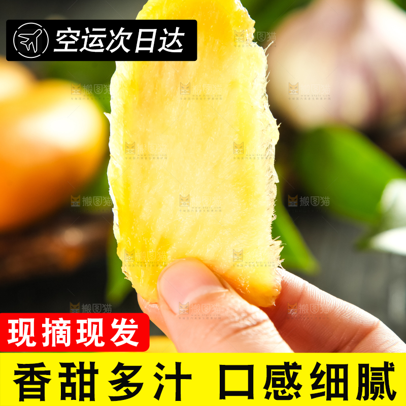 手里拿着小台芒