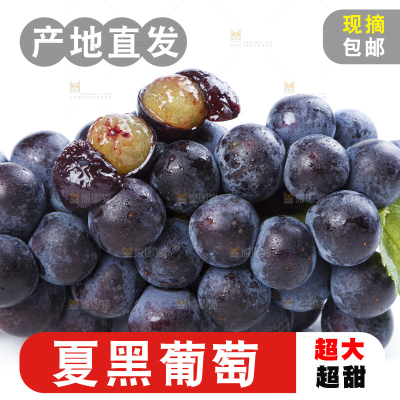 白底上的巨峰葡萄