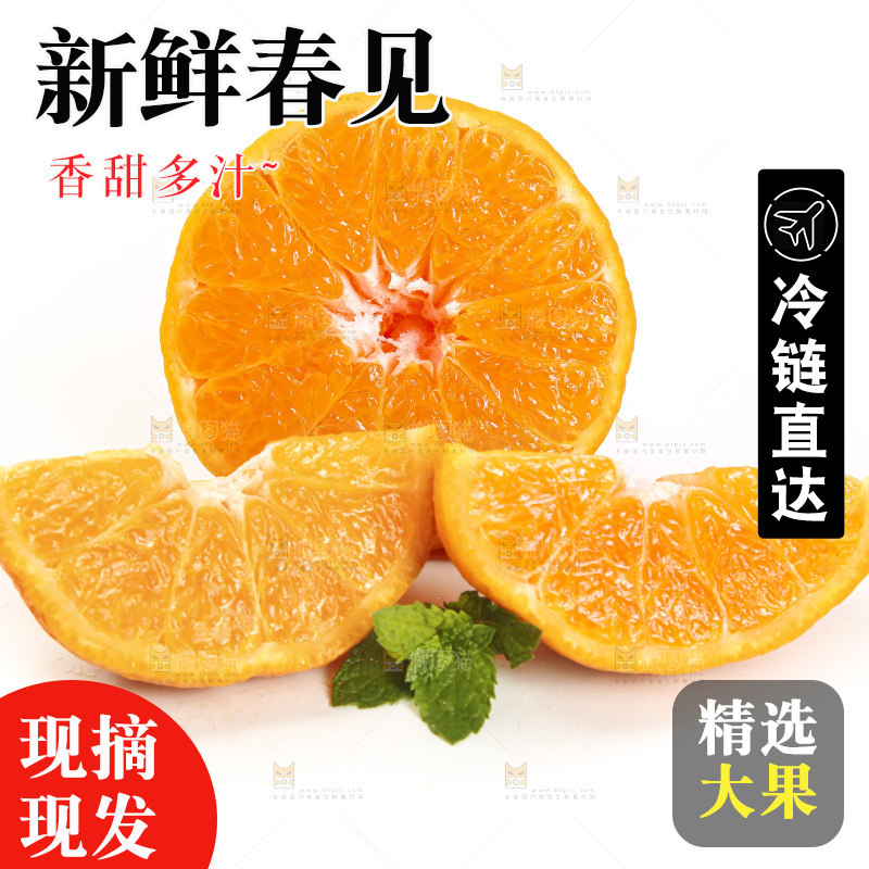 白底上放着一堆春见耙耙柑
