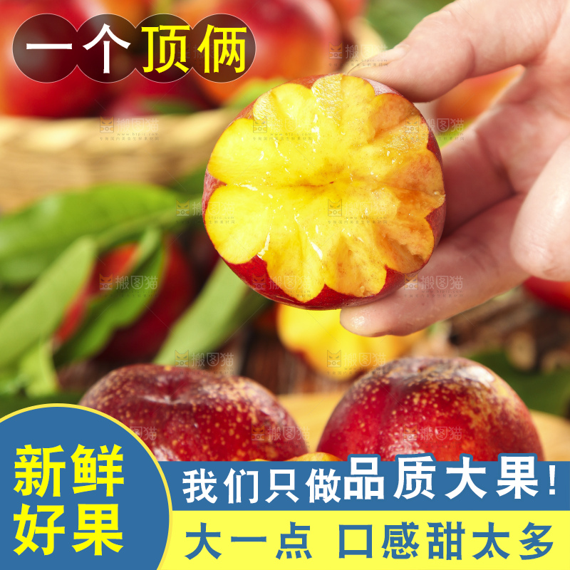 手里拿着山东黄肉油桃