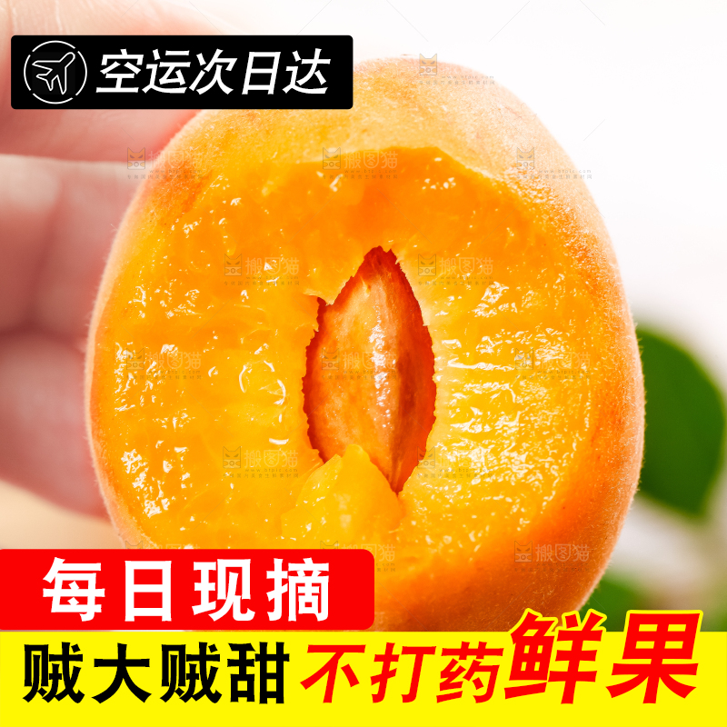 手里拿着黄杏
