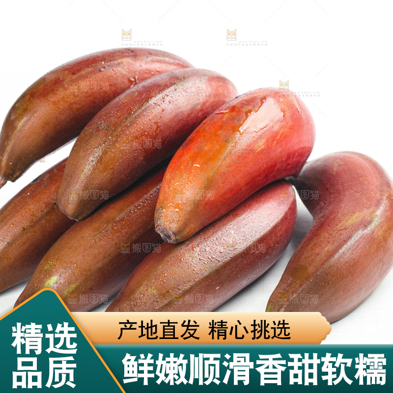 白底上的红皮美人蕉