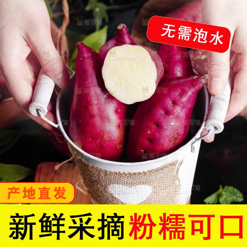 桶里装着桥头地瓜
