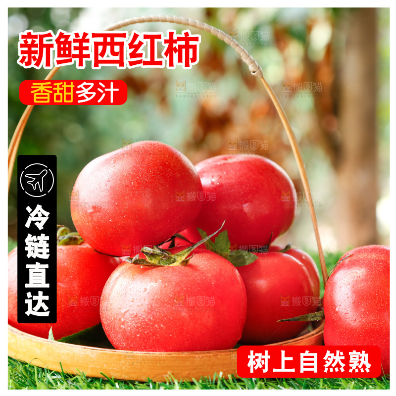 草地上的一堆新鲜西红柿