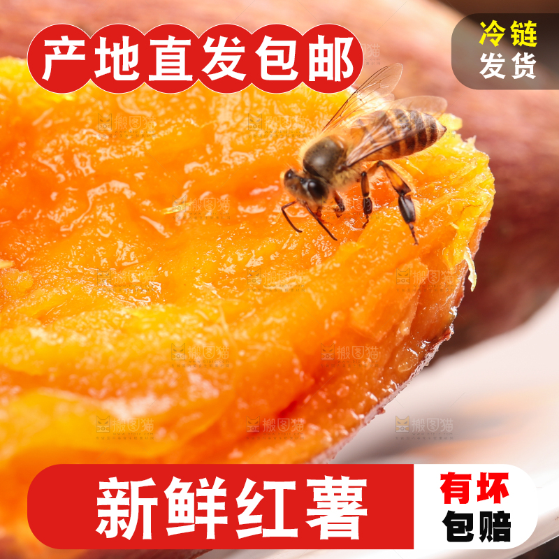 盘子里的沙地薯