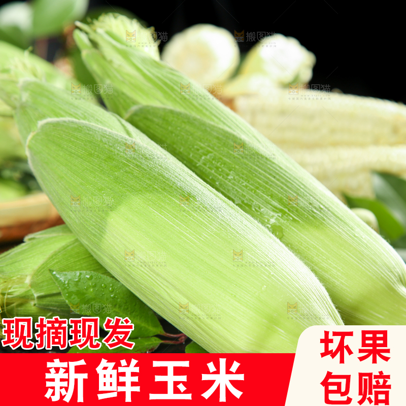 黑石板上的牛奶水果玉米