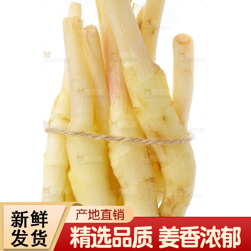 白底上的一堆新鲜生姜
