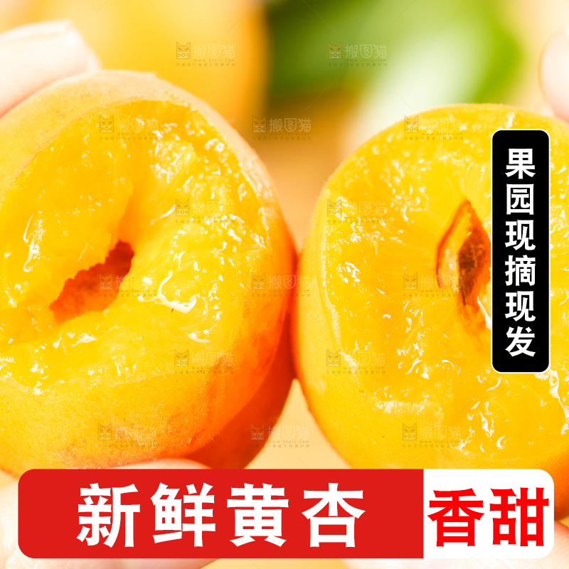 手里拿着黄杏