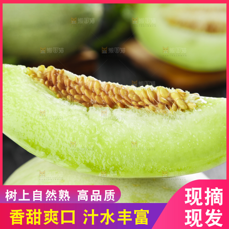 黑底上摆放着山东玉菇甜瓜