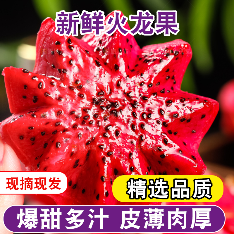 深底上的金都一号红心火龙果