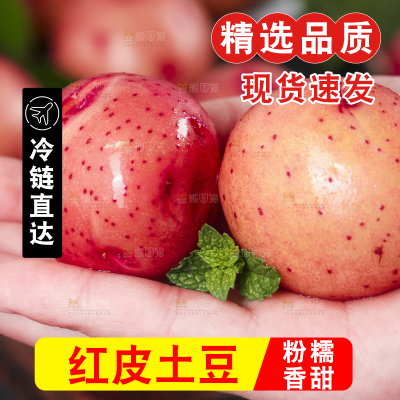 手里拿着红皮土豆