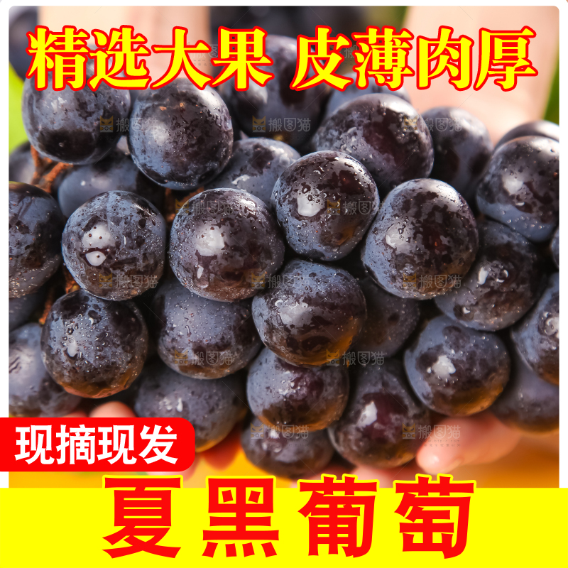 黄底上放着黑加仑葡萄