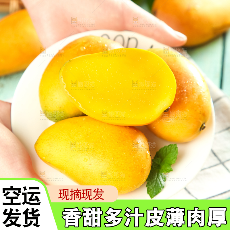 手里端着海南台农芒果
