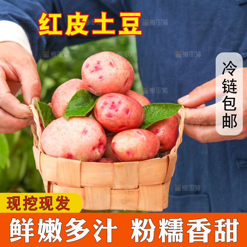 篮子里装着高山红皮土豆