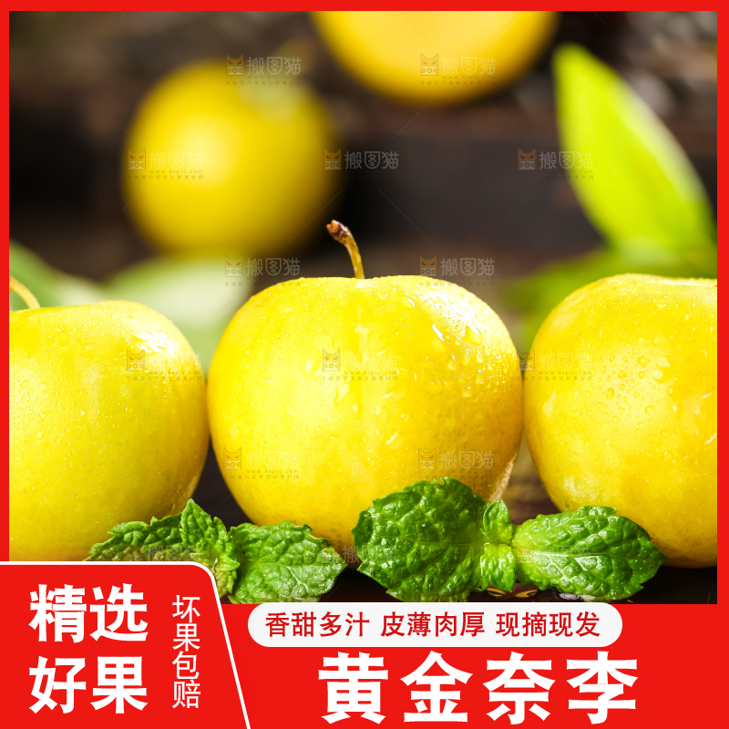 石板上的黄金李子