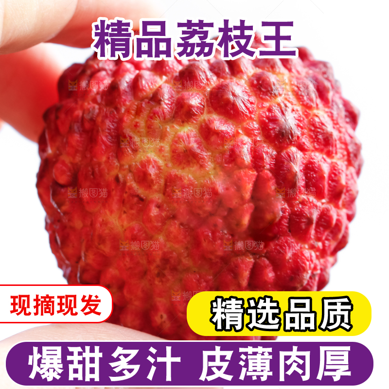 手拿着荔枝王
