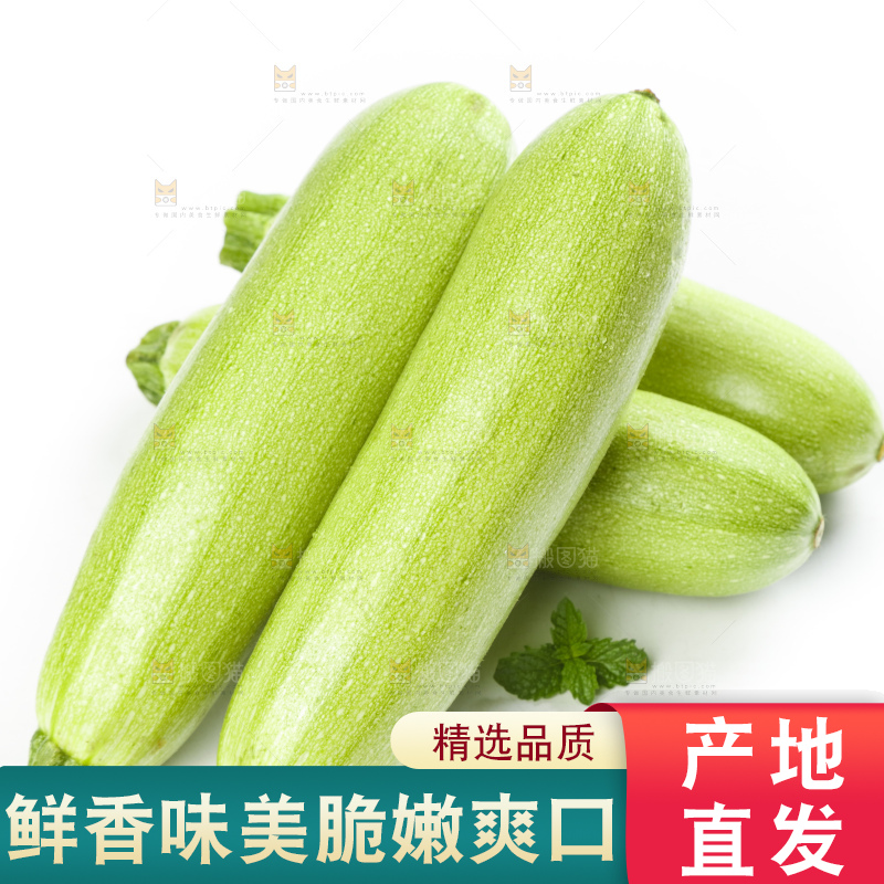 白底上摆放着西葫芦