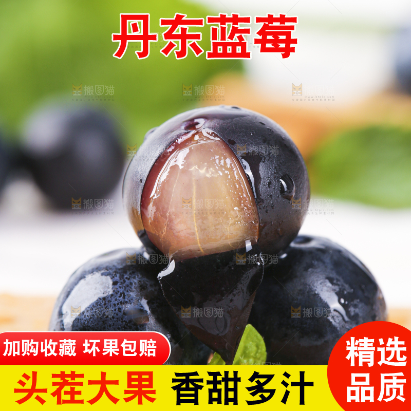木板上摆放着新鲜蓝莓