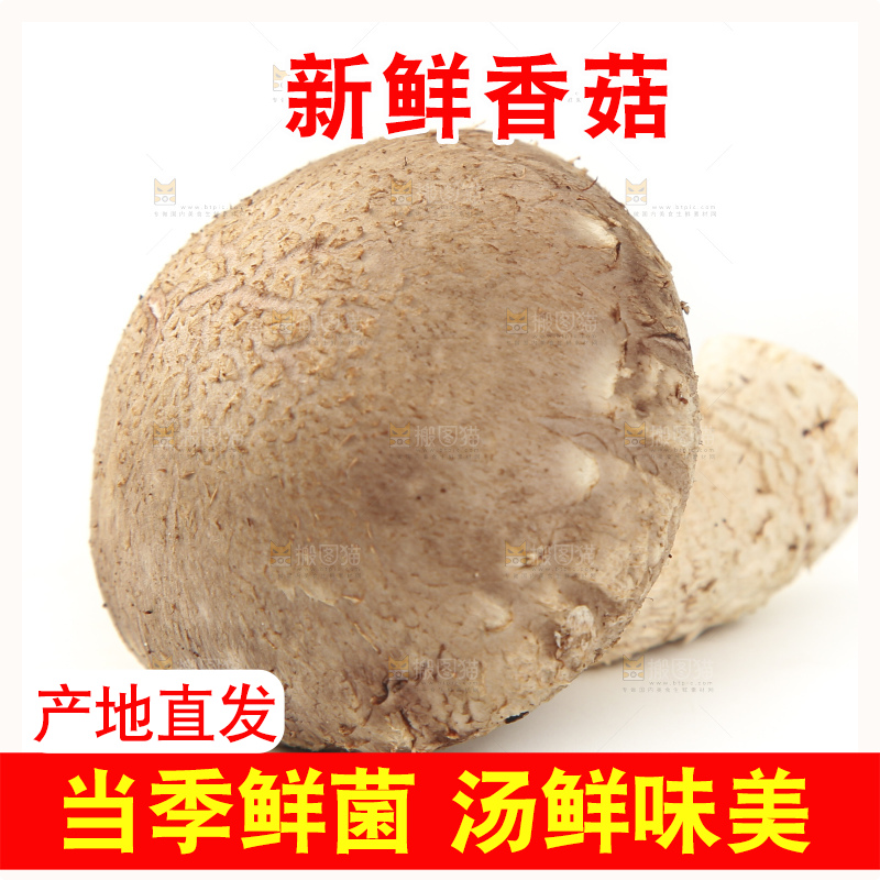 白底上放着香菇