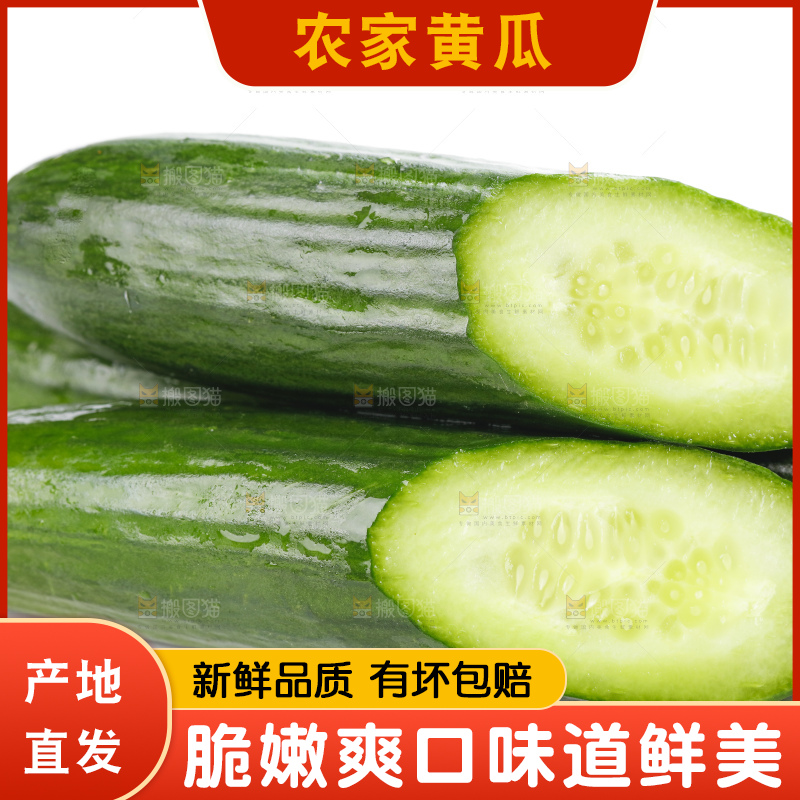 白底上摆放着嫩黄瓜