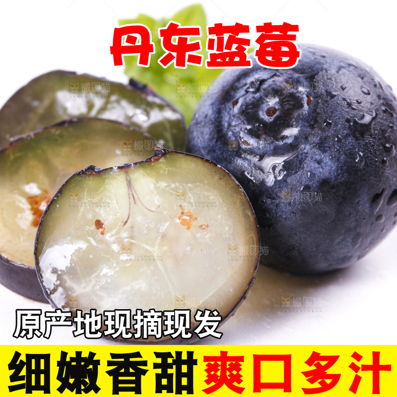 白底上摆放着蓝莓