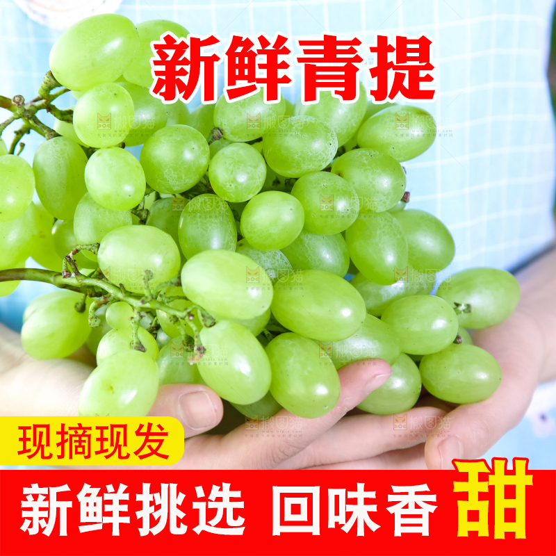 手里拿着澳洲无籽青提